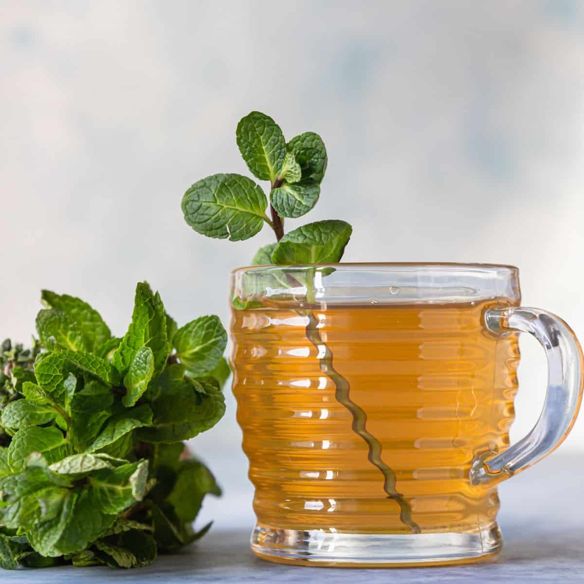 Healthy digestion tea made with peppermint.