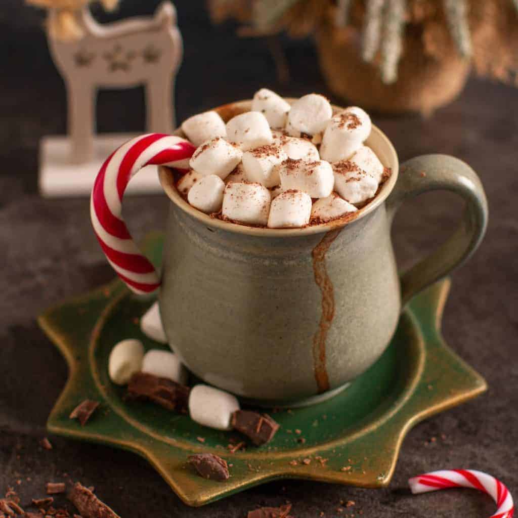 Healthy Lower Sugar Peppermint Hot Cacao