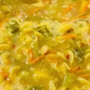 Easy to Make Gut Healing Chicken Soup