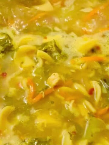 Easy to Make Gut Healing Chicken Soup